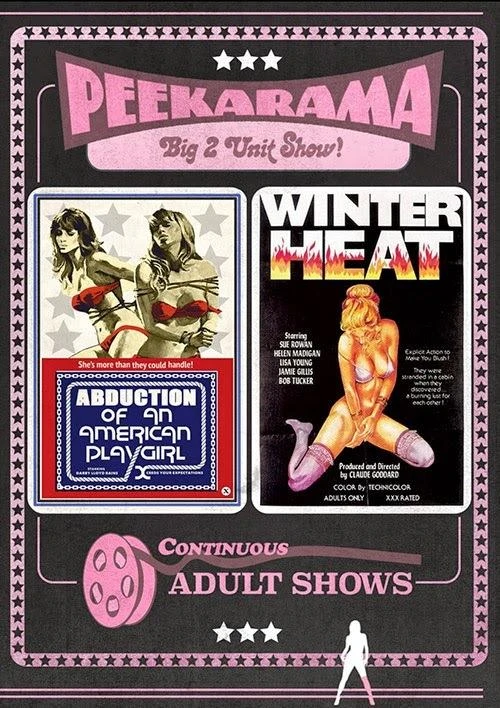 Abduction of an American Playgirl 1975 & Winter Heat 1976 Untouched DVD-9