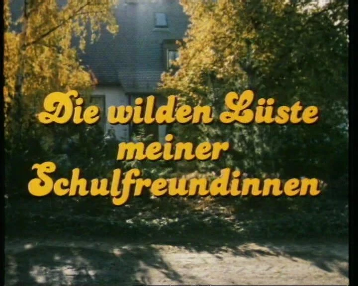 Die wilden Lüste meiner Schulfreundinnen - 1984 - Untouched DVD-5