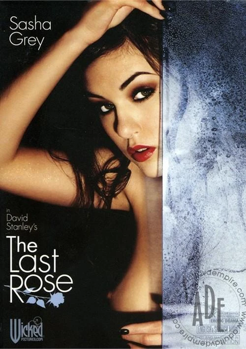 The Last Rose