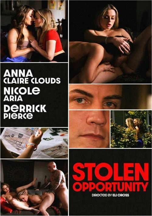 Stolen Opportunity 1080p